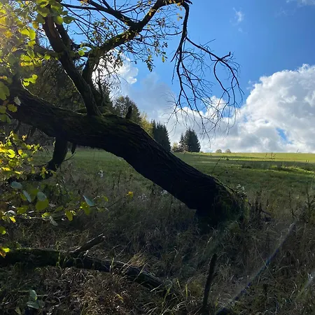 Zur Bergwiese 5 Sterne Appartementhaus