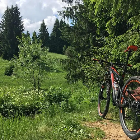 Zur Bergwiese 5 Sterne Appartementhaus Ferienhaus Furstenau (Saxony)