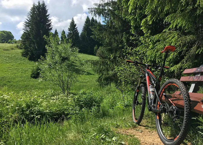 Appartementhaus Zur Bergwiese بيت للعطل Furstenau (Saxony)